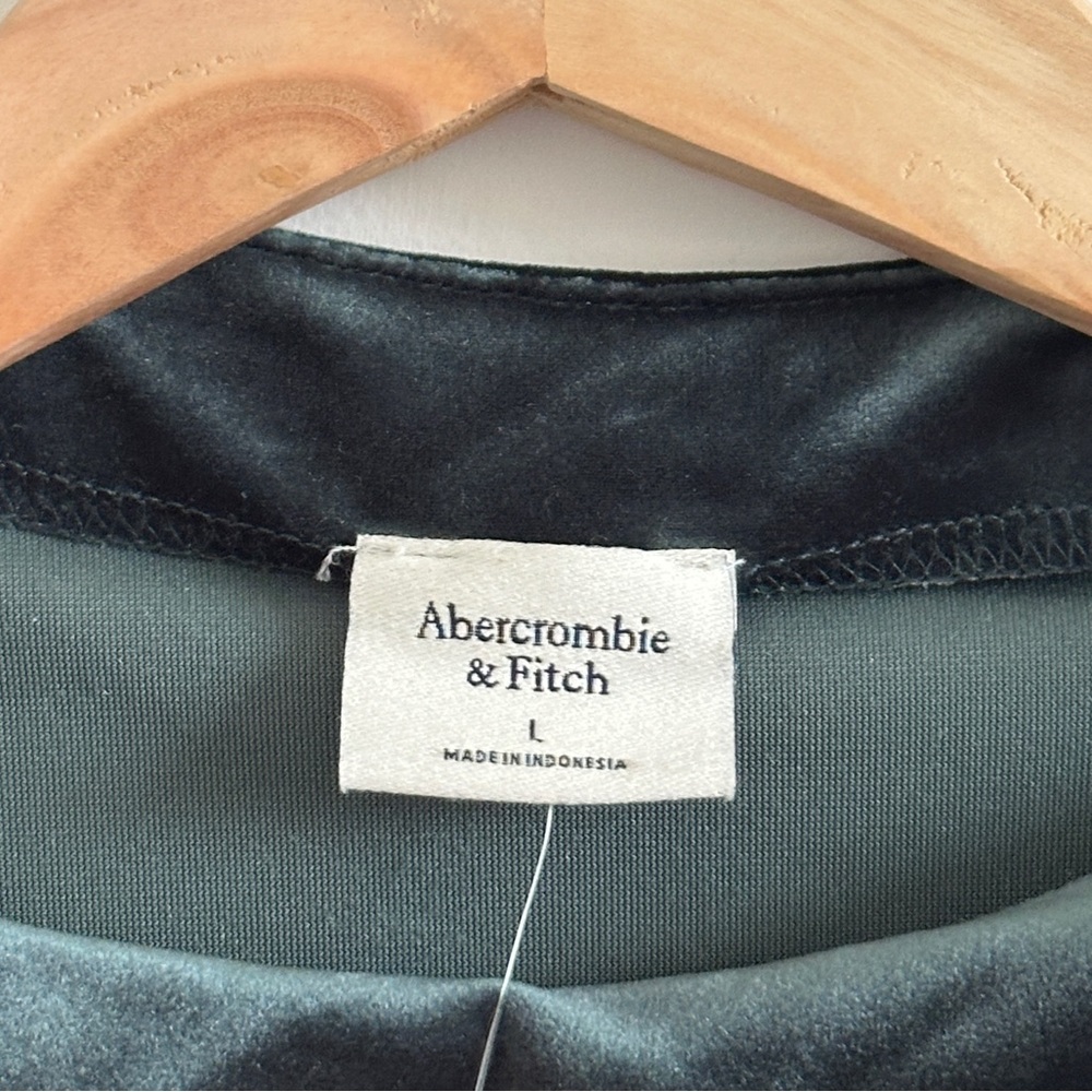 NWT Abercrombie & fitch Paloma velvet green dress size L - Picture 4 of 7